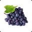 Purple Berry