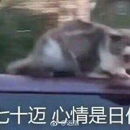 史大喜的小情人