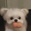 莫中意我了莫结果的了