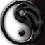 YIN AND YAN