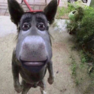 Придурок Лагерны