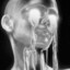 chrometears