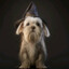Albus Dumbledore