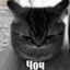 Hori