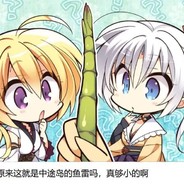 专业NaVi的electronic