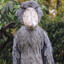 Shoebill Bird lover