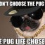 Mlgpug