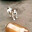Dog Bottle