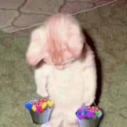 大师说我命里差滋崩