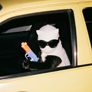 伊格达拉乔尼头