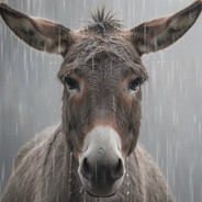 залупилдanys