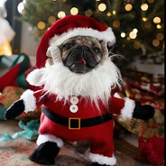 + - steam id 76561199474611602