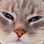 mayhemoff