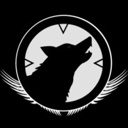 HawkWolf613