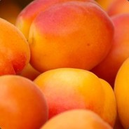 不要打我好不好