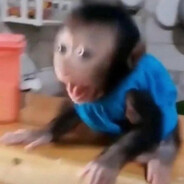 Valentin Georgeevich