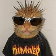 ツ𝓀𝒾𝓌𝒾𝓀ツ