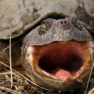 🔫 pewpew 🔫 ---->