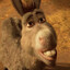 Donkey