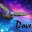 Dove228