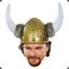 Viking