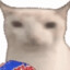 Carbonated Mayo