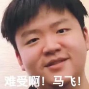 我马飞飞可以证明