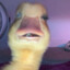 FreakingSqiurtle