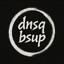 dnsqbsup