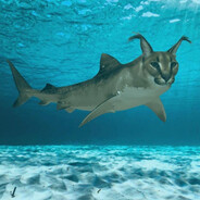 catfish