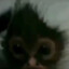 Monky