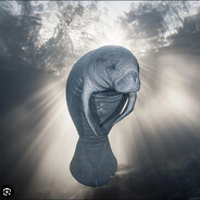 VegemiteManatee