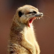 Gopher avatar
