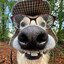 DaffyDuck