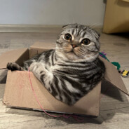 Musa - steam id 76561198348600694