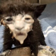 RedGHOST - steam id 76561199221281189