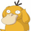 Level 33 Psyduck