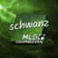 schwanz-iwnl