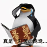 我的兄弟是萝莉 敢露牛子能日地