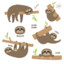 AlanWokeSloth