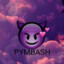 pymbash