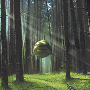 The Great White Shark