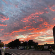 翻斗花园牛战士