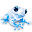 IceFrog