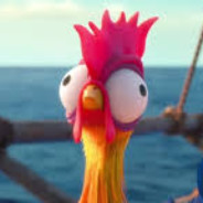 Chicken without a head