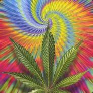 Dracula Den4uk_74rus