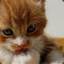 Da_Catum