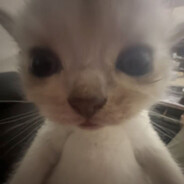 trwmate avatar