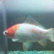Moving >.< - steam id 76561197965619776