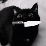 BiBi